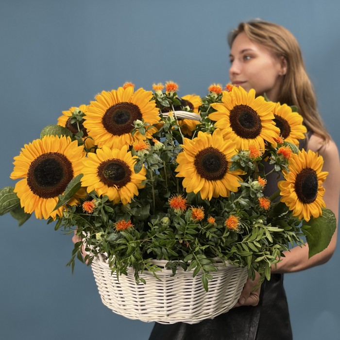 11 подсолнухов в корзине с картамусом