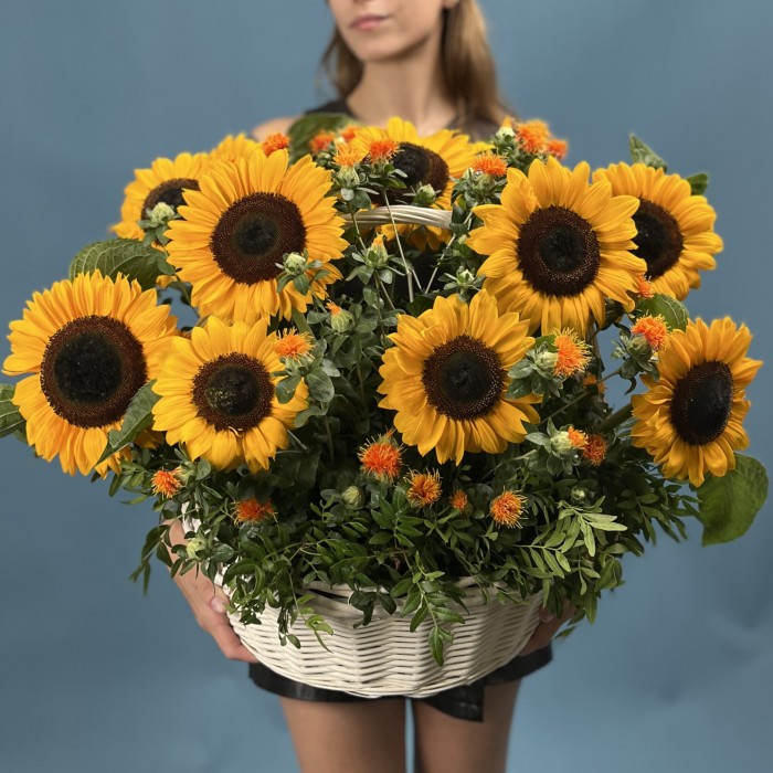 11 подсолнухов в корзине с картамусом