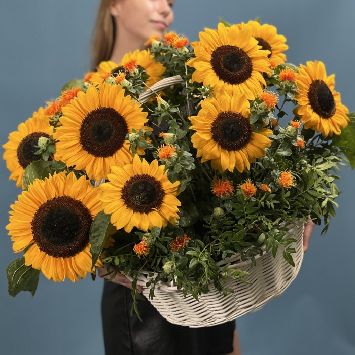 11 подсолнухов в корзине с картамусом