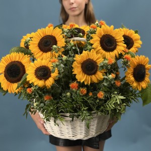 11 подсолнухов в корзине с картамусом