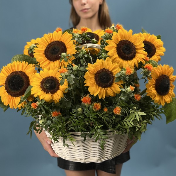 11 подсолнухов в корзине с картамусом