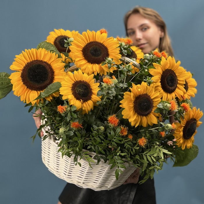 11 подсолнухов в корзине с картамусом
