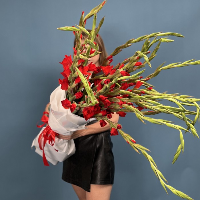 25 красных гладиолусов