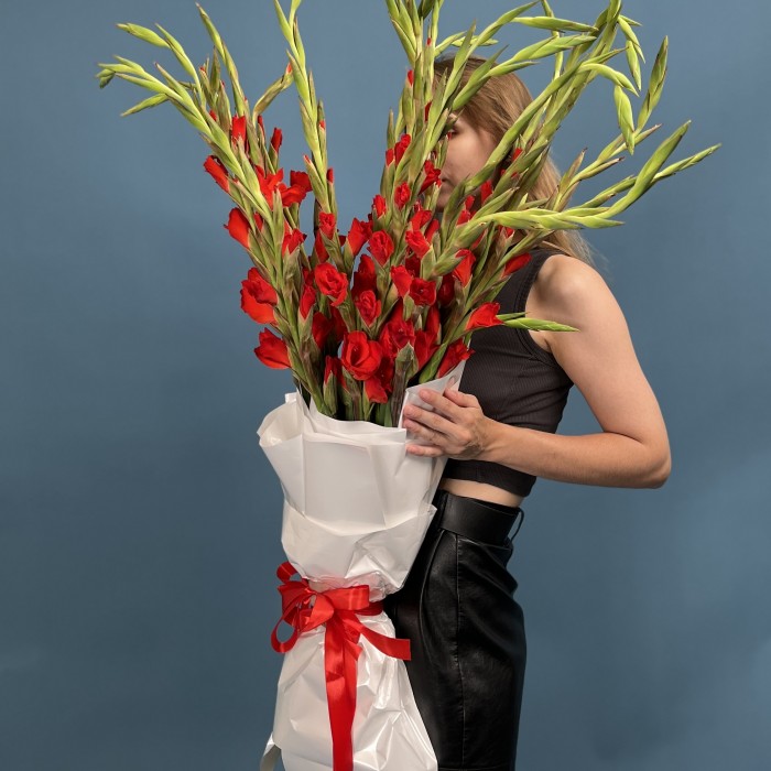 25 красных гладиолусов