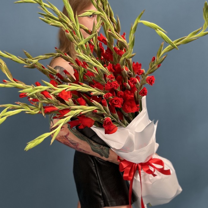 25 красных гладиолусов