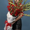 25 красных гладиолусов