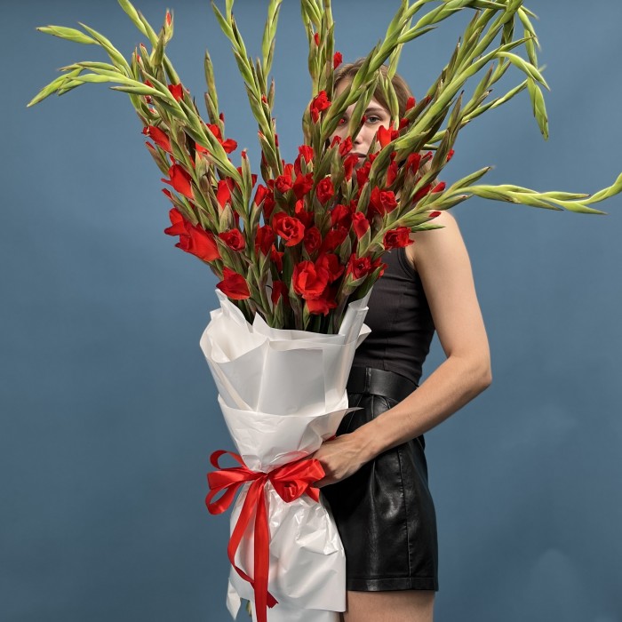 25 красных гладиолусов