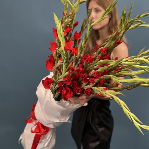 25 красных гладиолусов