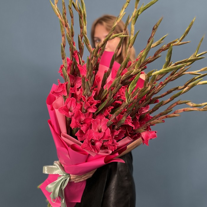 25 малиновых гладиолусов