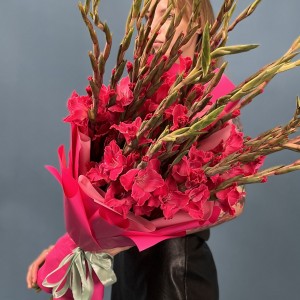 25 малиновых гладиолусов