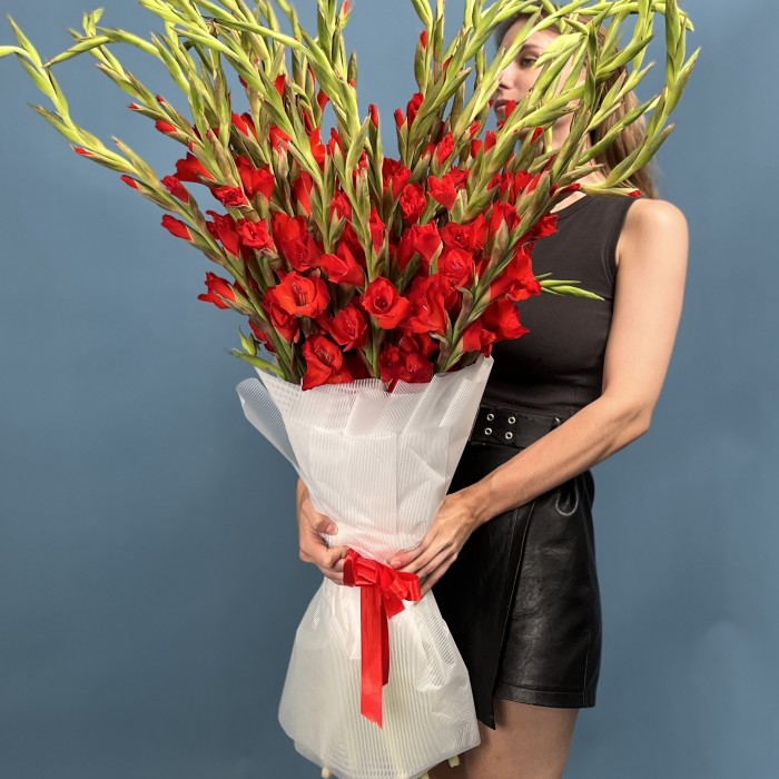 35 красных гладиолусов