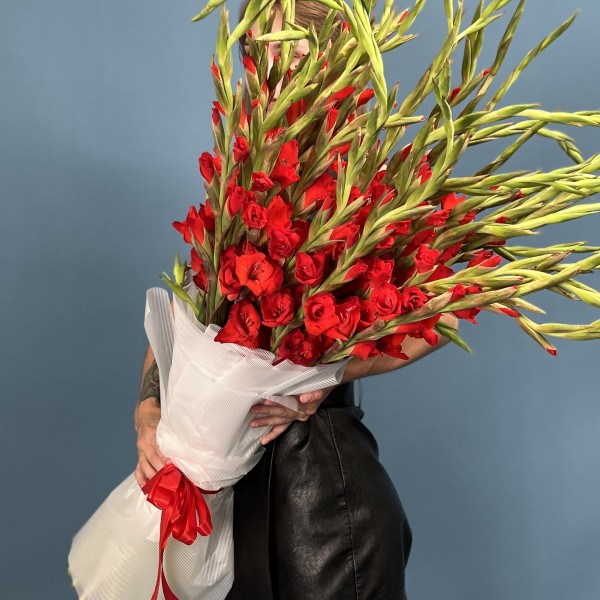 35 красных гладиолусов