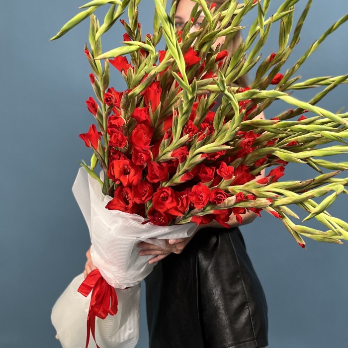 35 красных гладиолусов