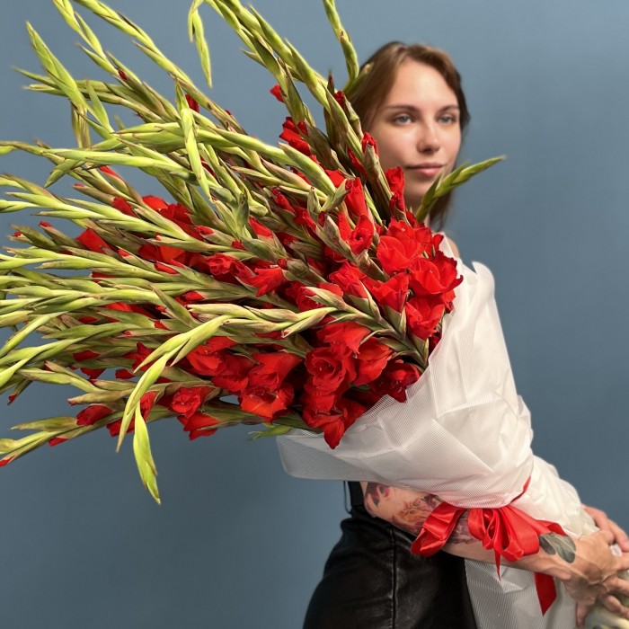 35 красных гладиолусов