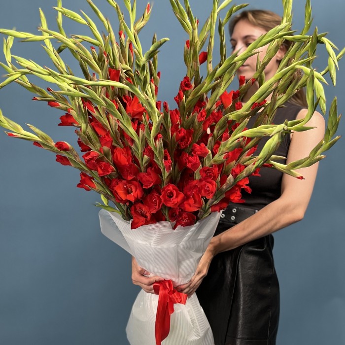 35 красных гладиолусов