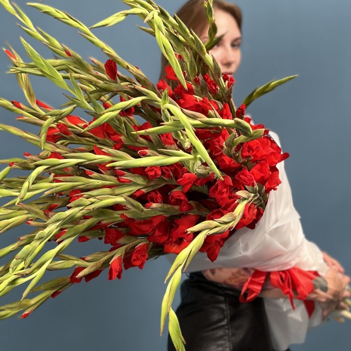 35 красных гладиолусов