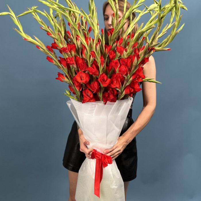 35 красных гладиолусов