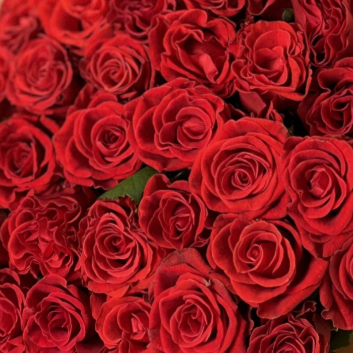 35 красных роз Эль Торо 40 см
