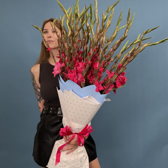 41 малиновый гладиолус