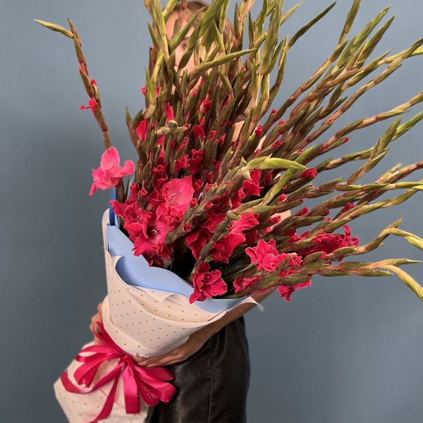 41 малиновый гладиолус