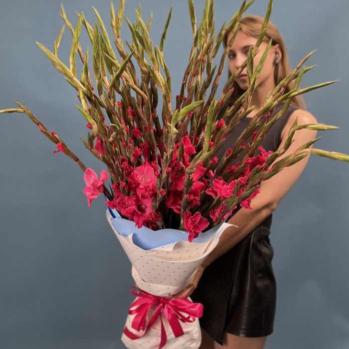 41 малиновый гладиолус