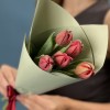 5 красных пионовидных тюльпанов Ред Принц