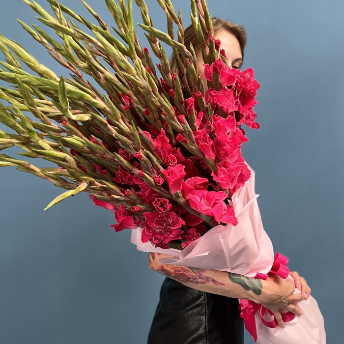 51 малиновый гладиолус