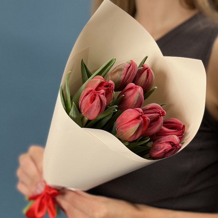 9 красных пионовидных тюльпанов Ред Принц