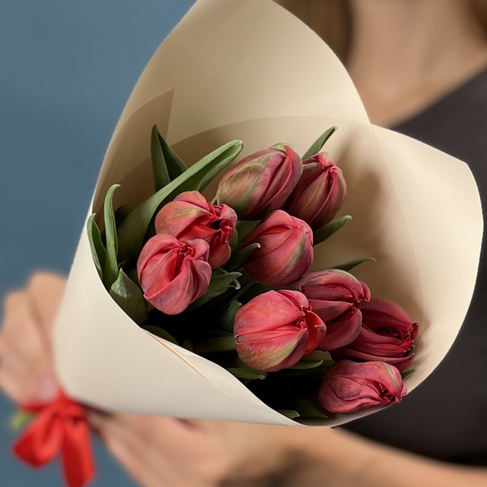 9 красных пионовидных тюльпанов Ред Принц