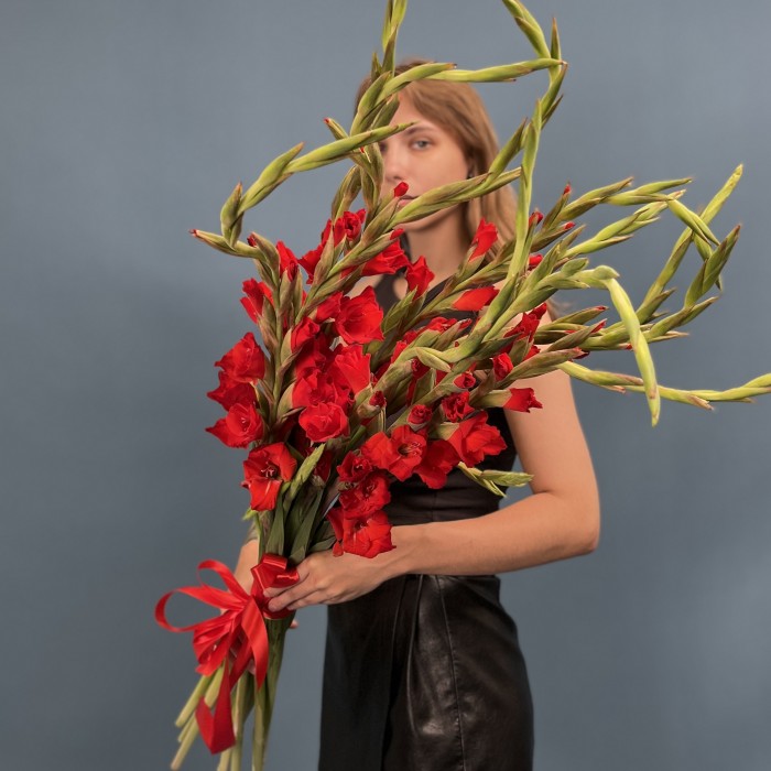 Гладиолус красный