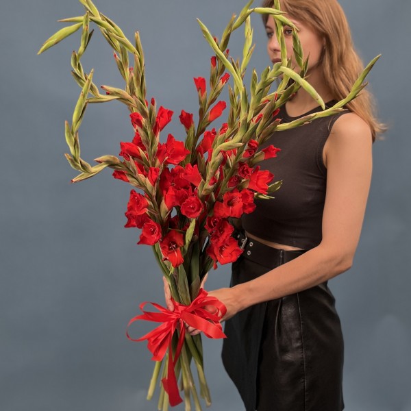 Гладиолус красный