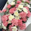 35 розовых и белых гвоздик микс