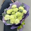 15 нежно-зеленых гвоздик с эвкалиптом