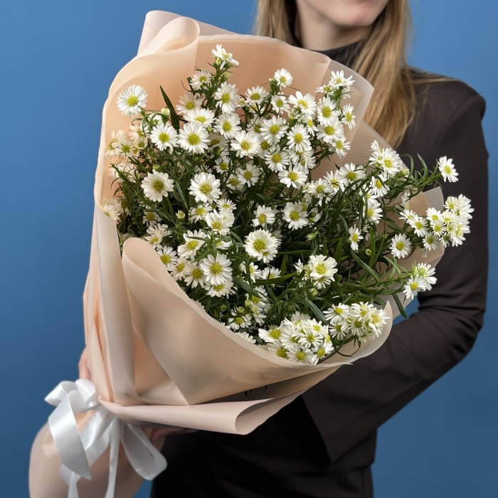 15 белых астер