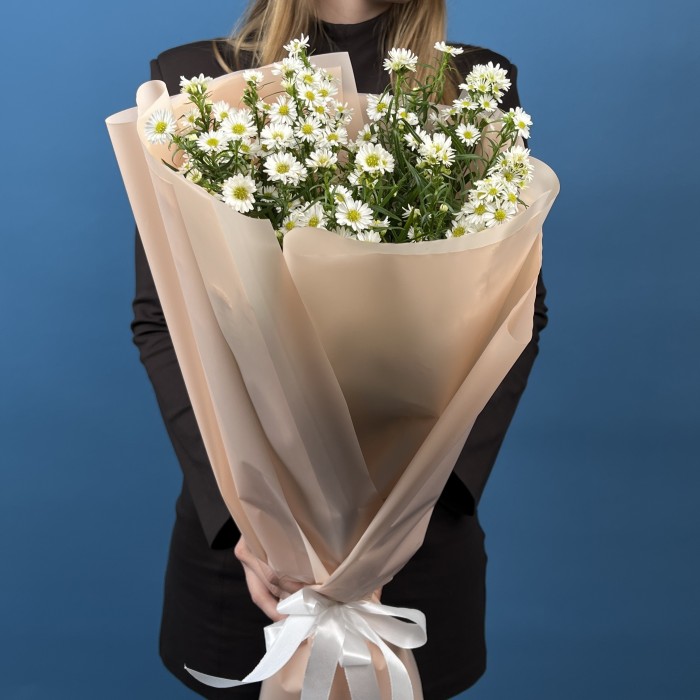 15 белых астер