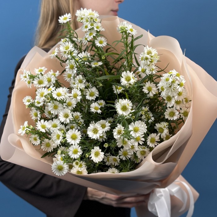 15 белых астер