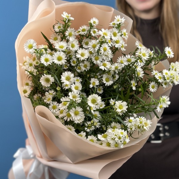 15 белых астер