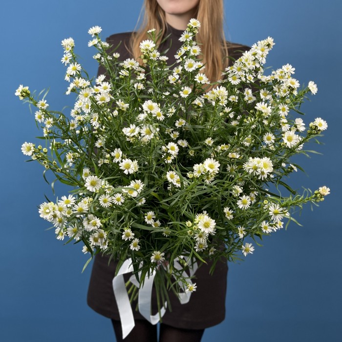 25 белых астер