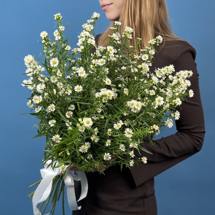 25 белых астер