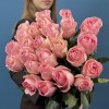 25 розовых роз Лучиано 60 см