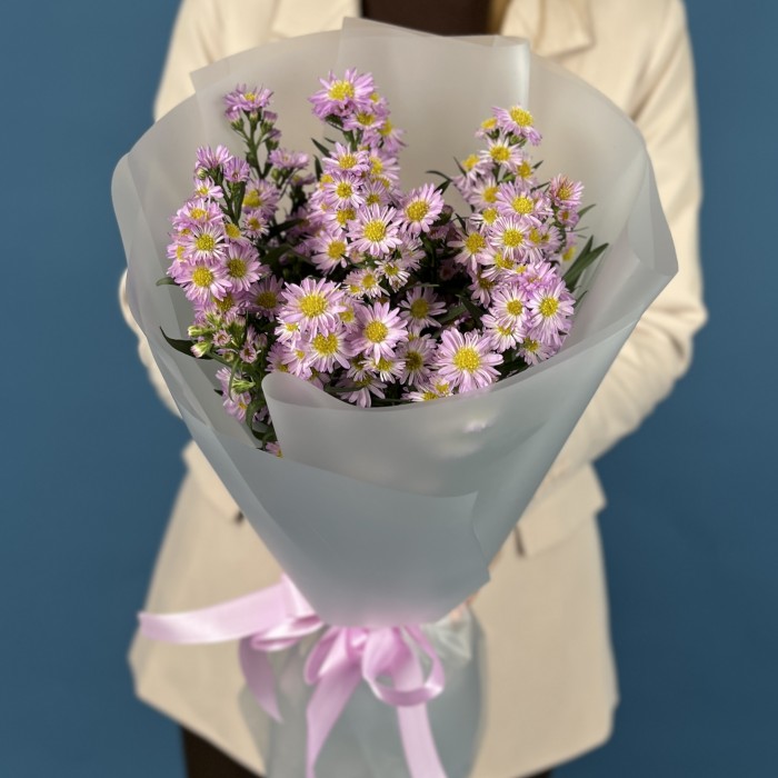 15 розовых астер