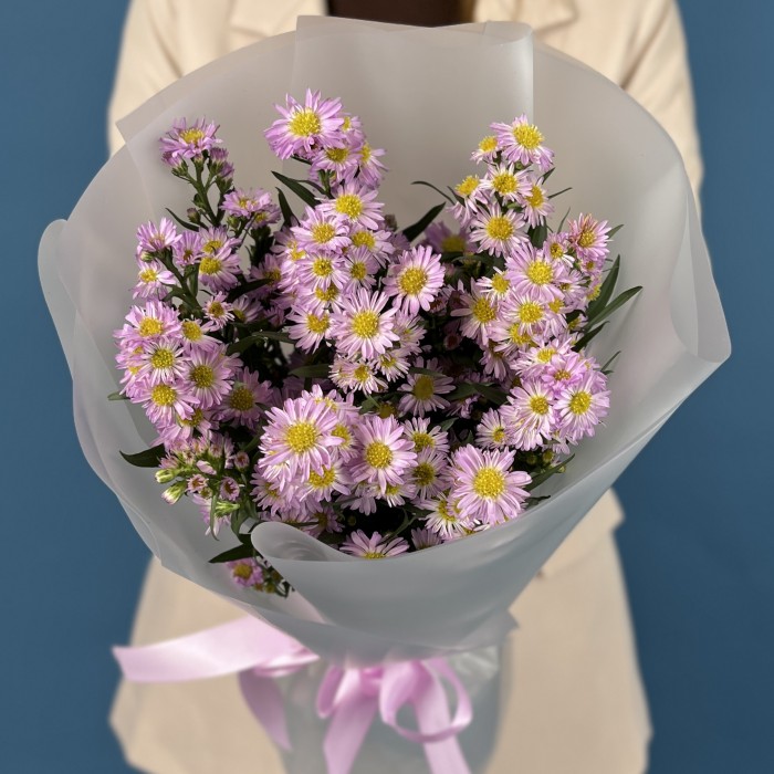 15 розовых астер