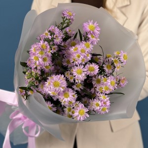15 розовых астер