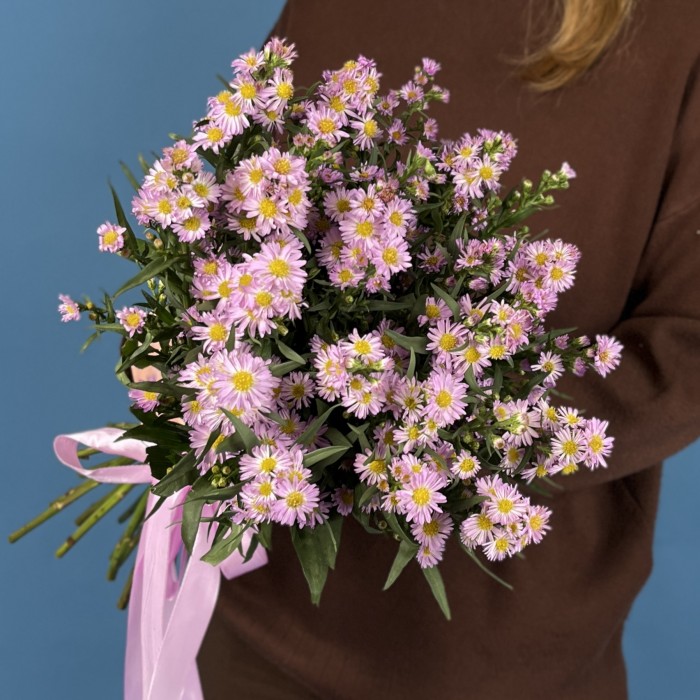 Астер розовый