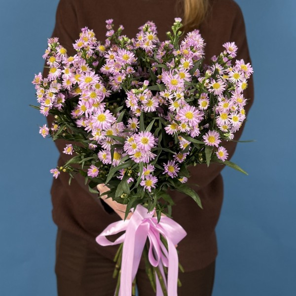 Астер розовый