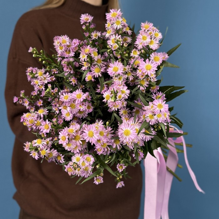 Астер розовый