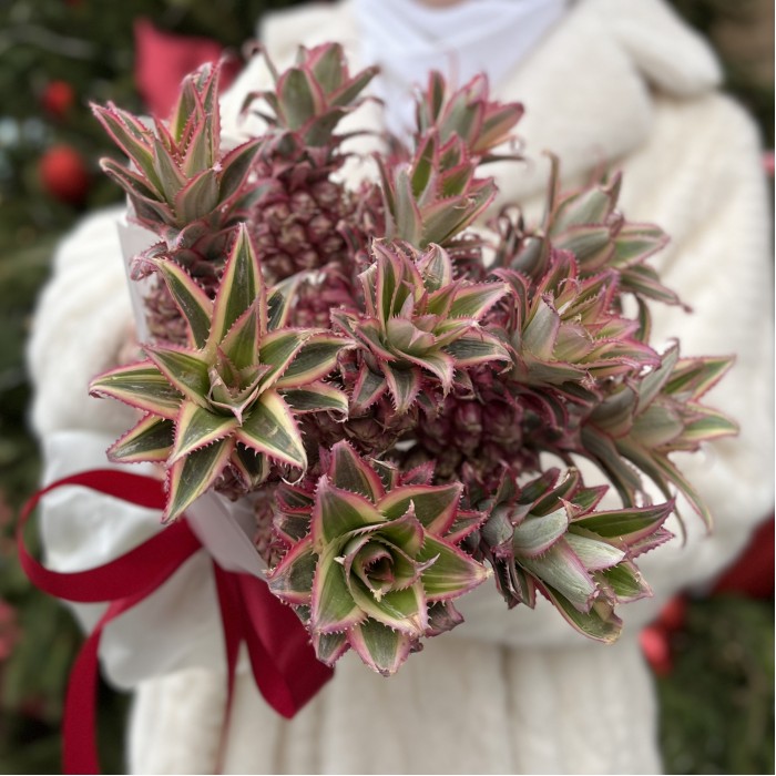 11 декоративных мини Ананасов