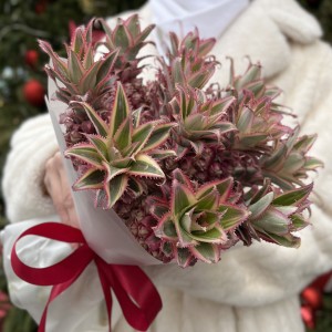 11 декоративных мини Ананасов