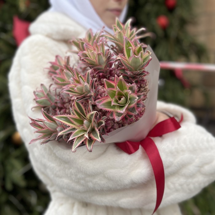 11 декоративных мини Ананасов