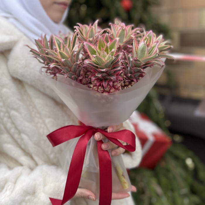 11 декоративных мини Ананасов